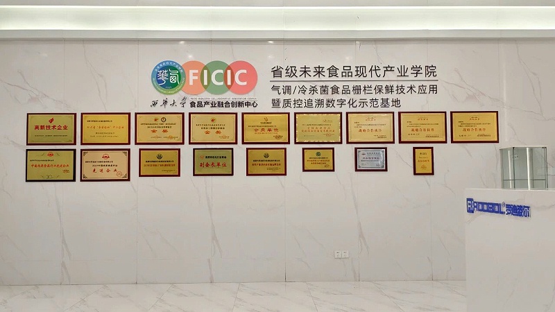 罗迪波尔