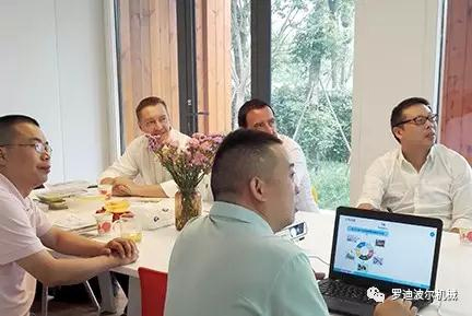 罗迪波尔